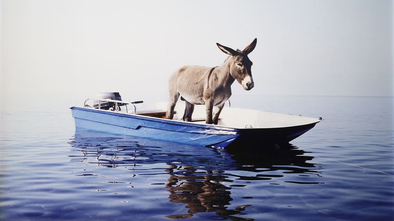 PAOLA-PIVI-Senza-titolo-Asino-2003