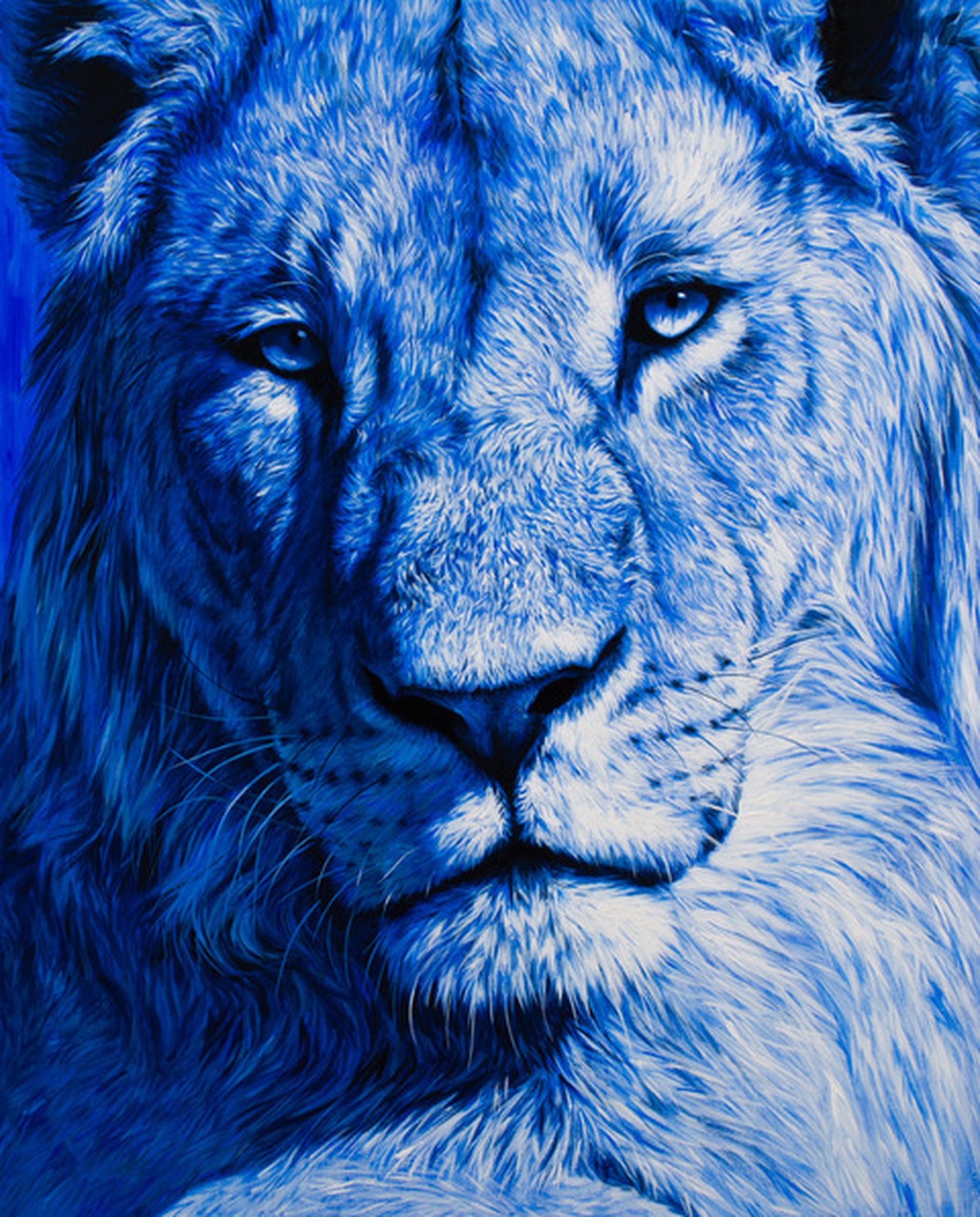 Marco Grasso Rex 2023