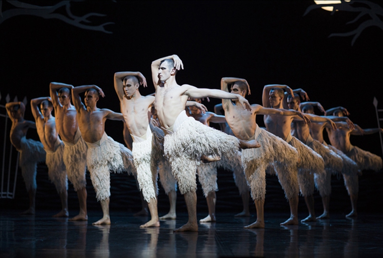 SwanLake