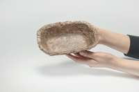 Poc, da una pianta acquatica nascono imballaggi alimentari sostenibili