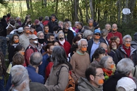 In Francia, la foresta salvata dai cittadini