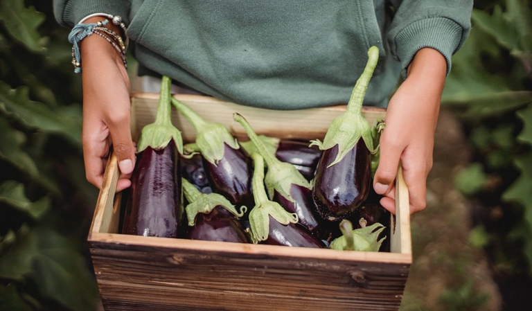 agricoltura biologica