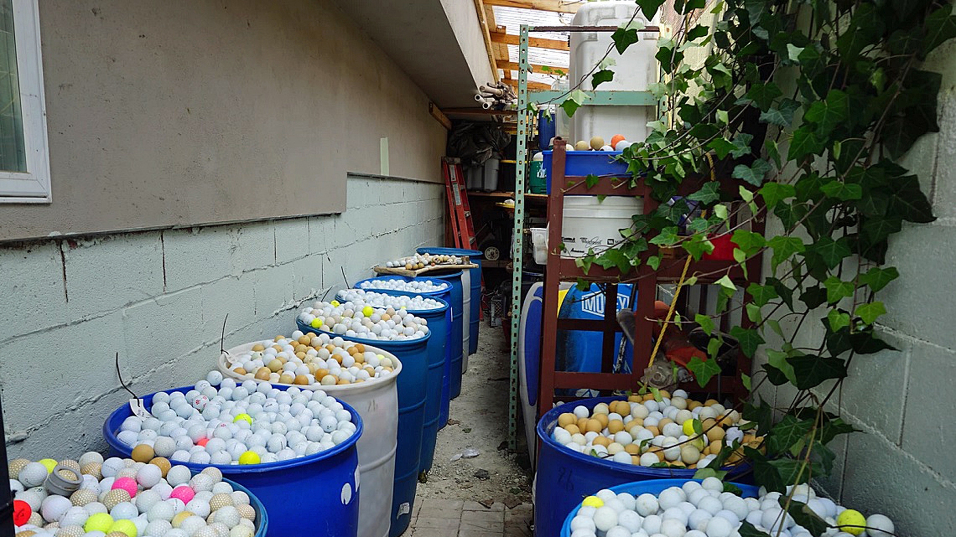 Palline da golf oceano