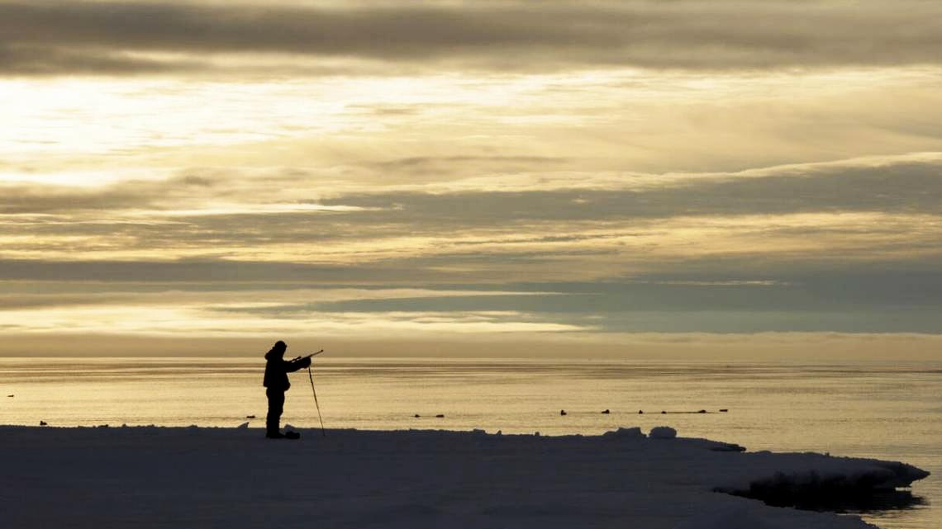 To the Ends of the Earth, David Lavallee / Canada / 2016 / 82’