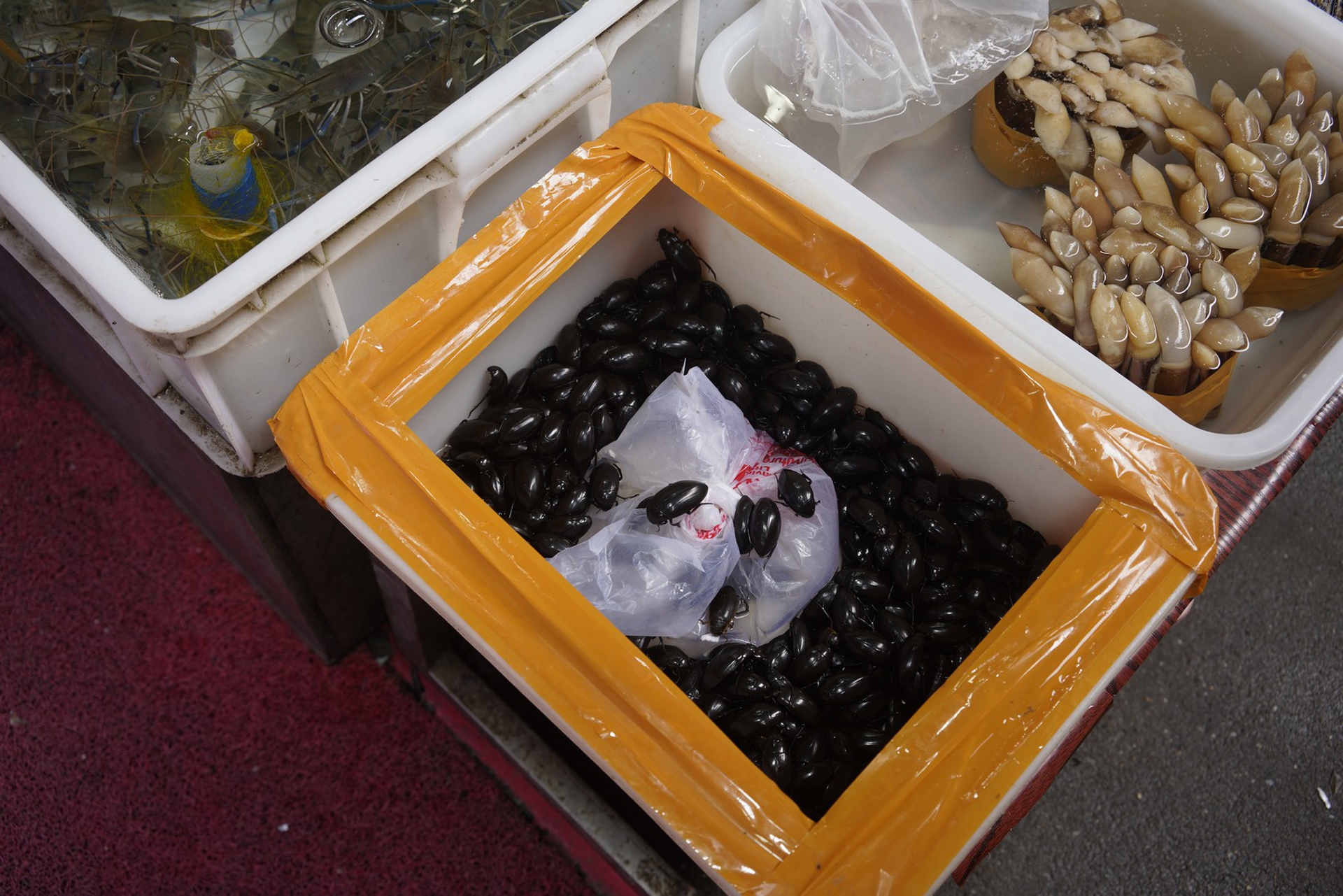 Un’immagine dai wet market in Cina