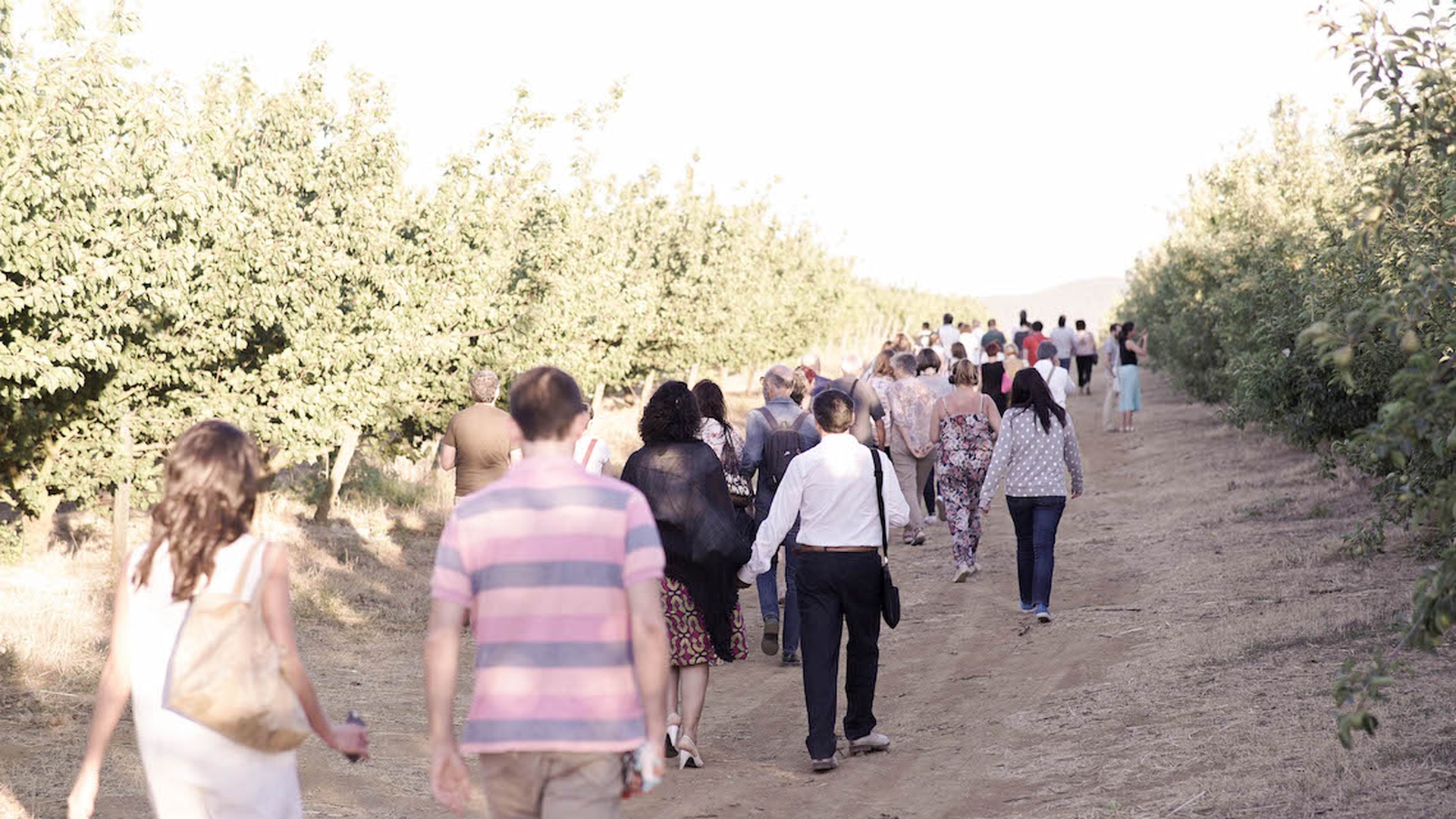 La seconda tappa di Campi da sapere di Alce Nero: la frutta