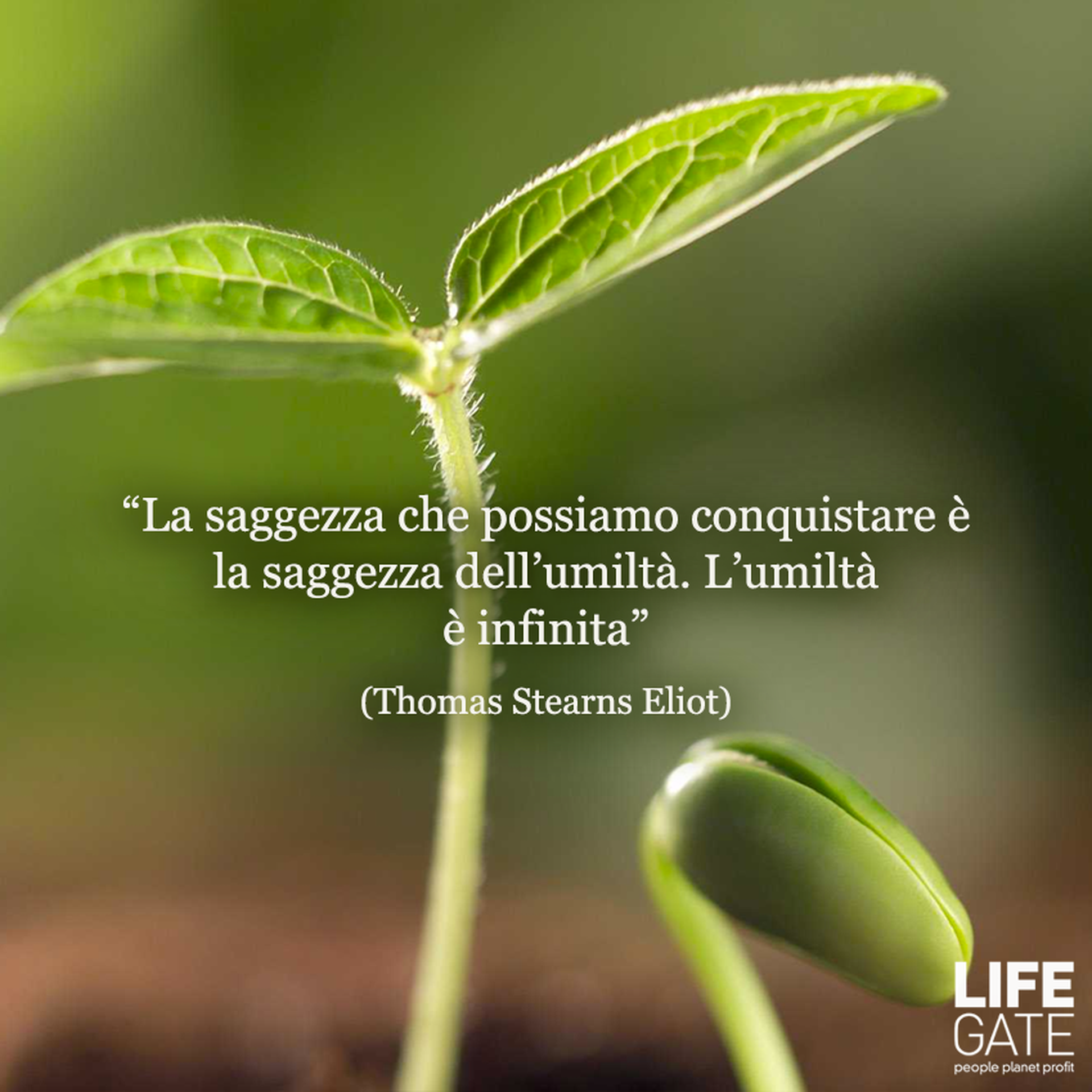 Thomas Stearns Eliot