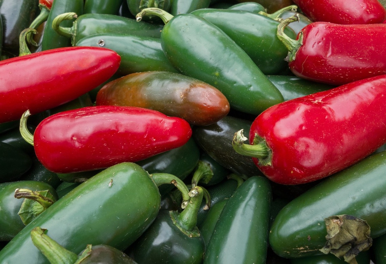 jalapeno peperoncino poco piccante