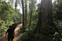 Perù, storica svolta contro le miniere d’oro illegali in Amazzonia