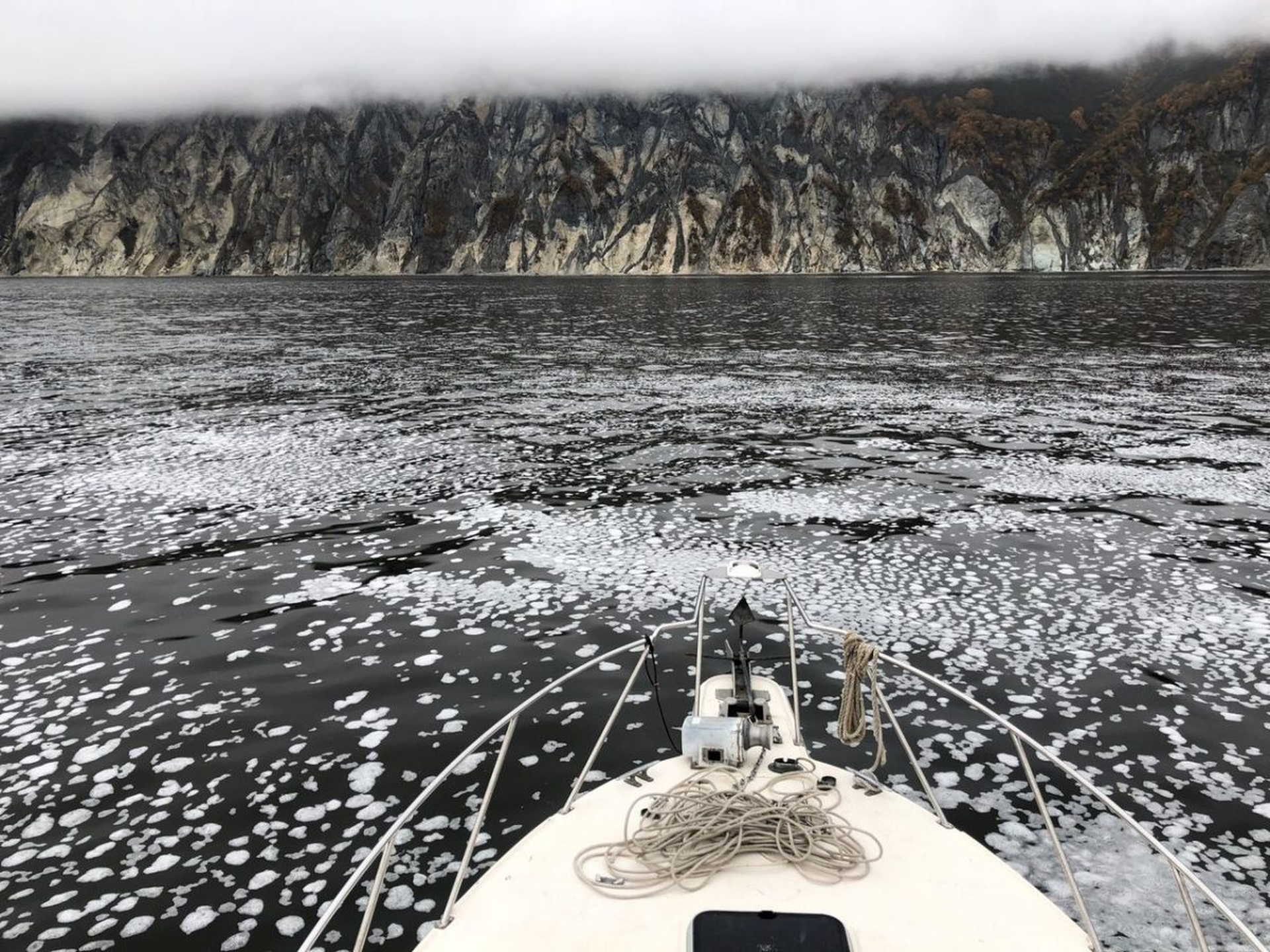 Environmental Disaster in Kamchatka
Экологическая катастрофа на Камчатке