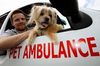 Ferrara, nasce un servizio di primo soccorso veterinario con volontari e ambulanze