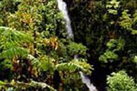 Turismo e biodiversità