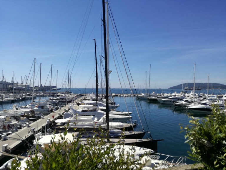 LifeGate PlasticLess