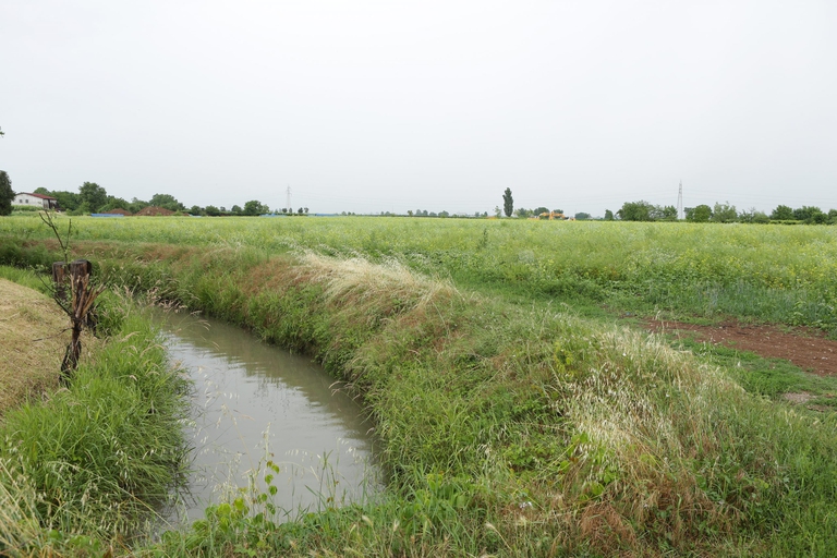 Cantiere di Madonna di Lonigo