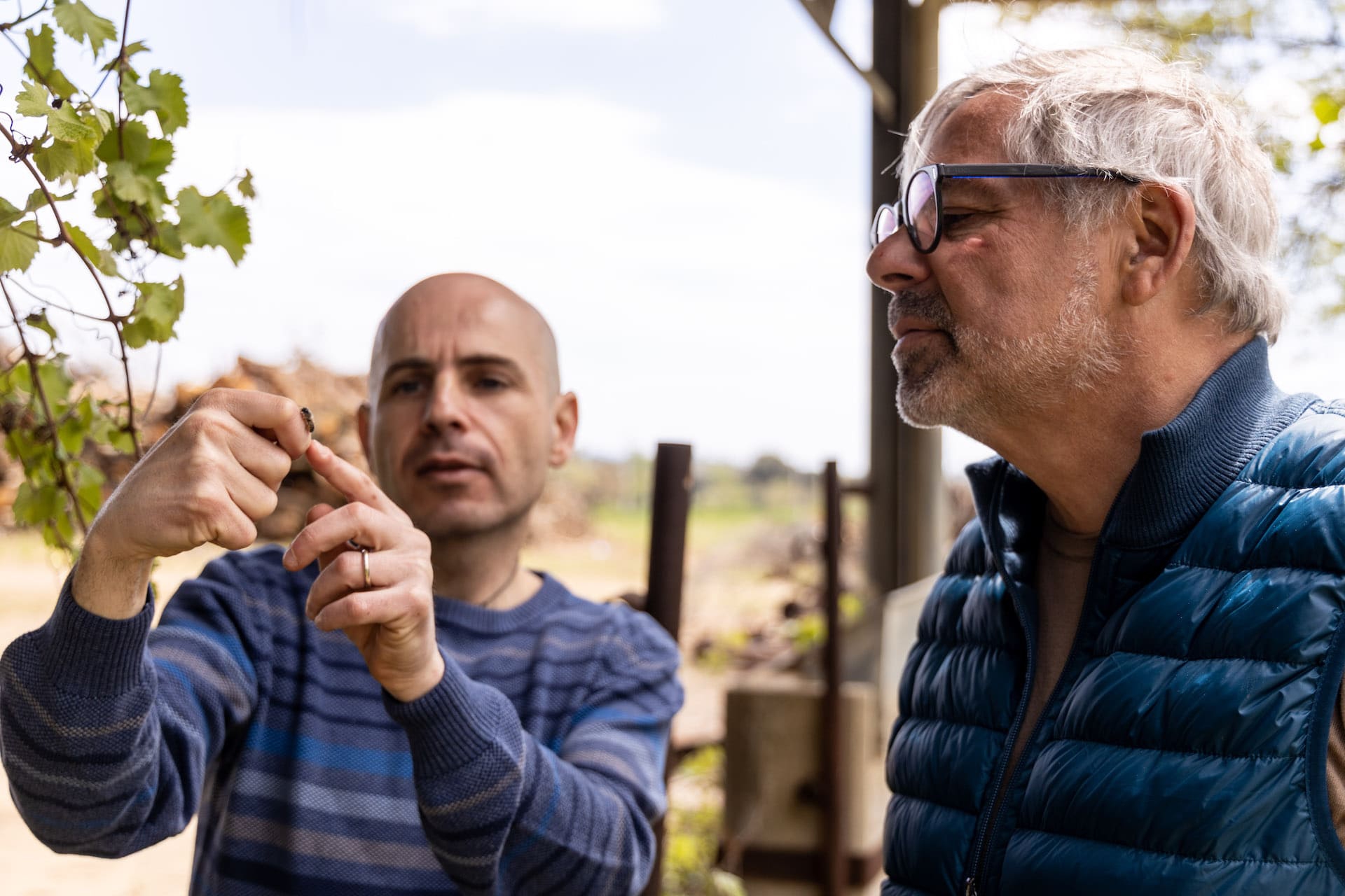 Ricerca Bosco Monini3