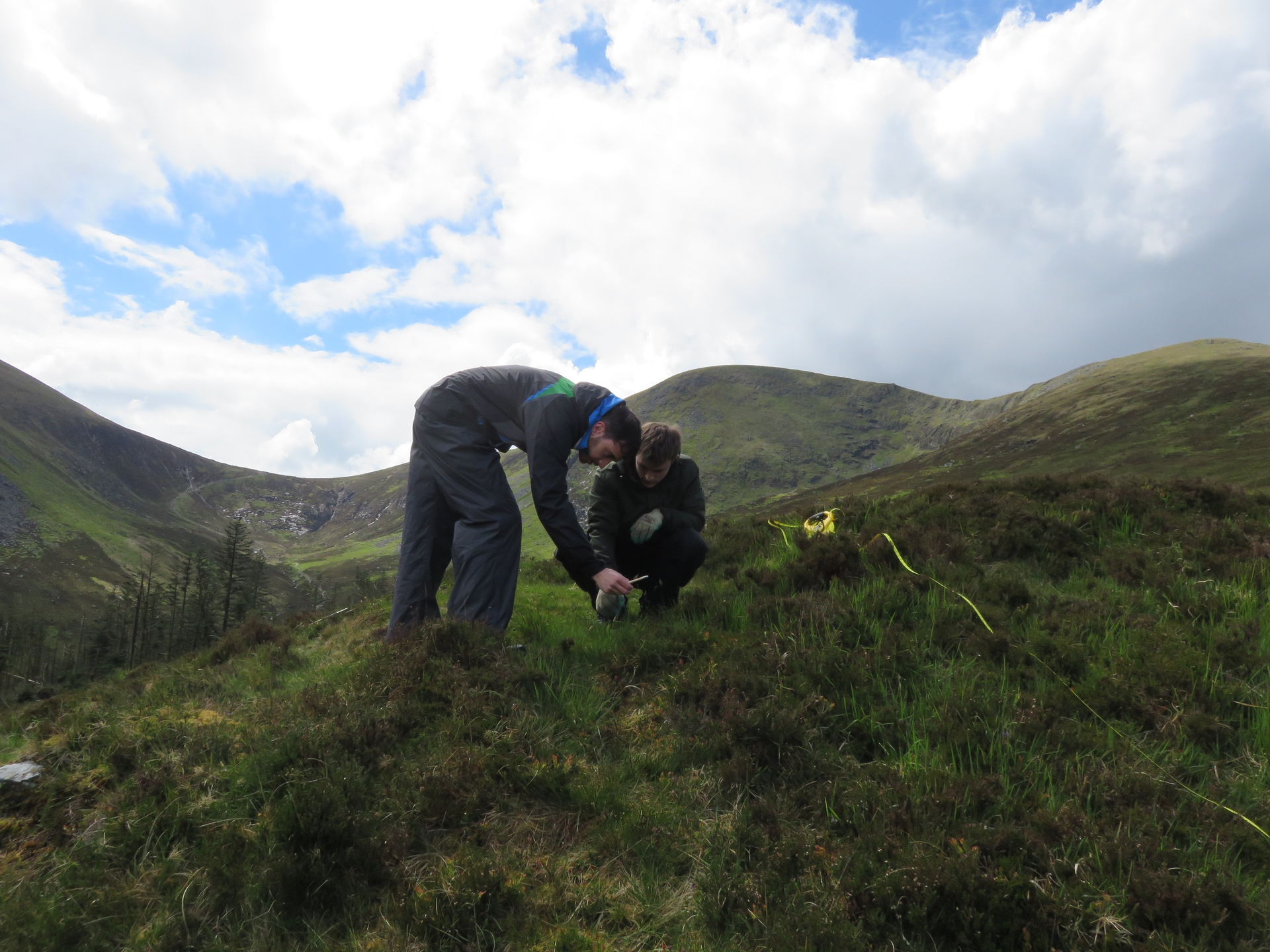 Wildlife Surveys in the Mournes