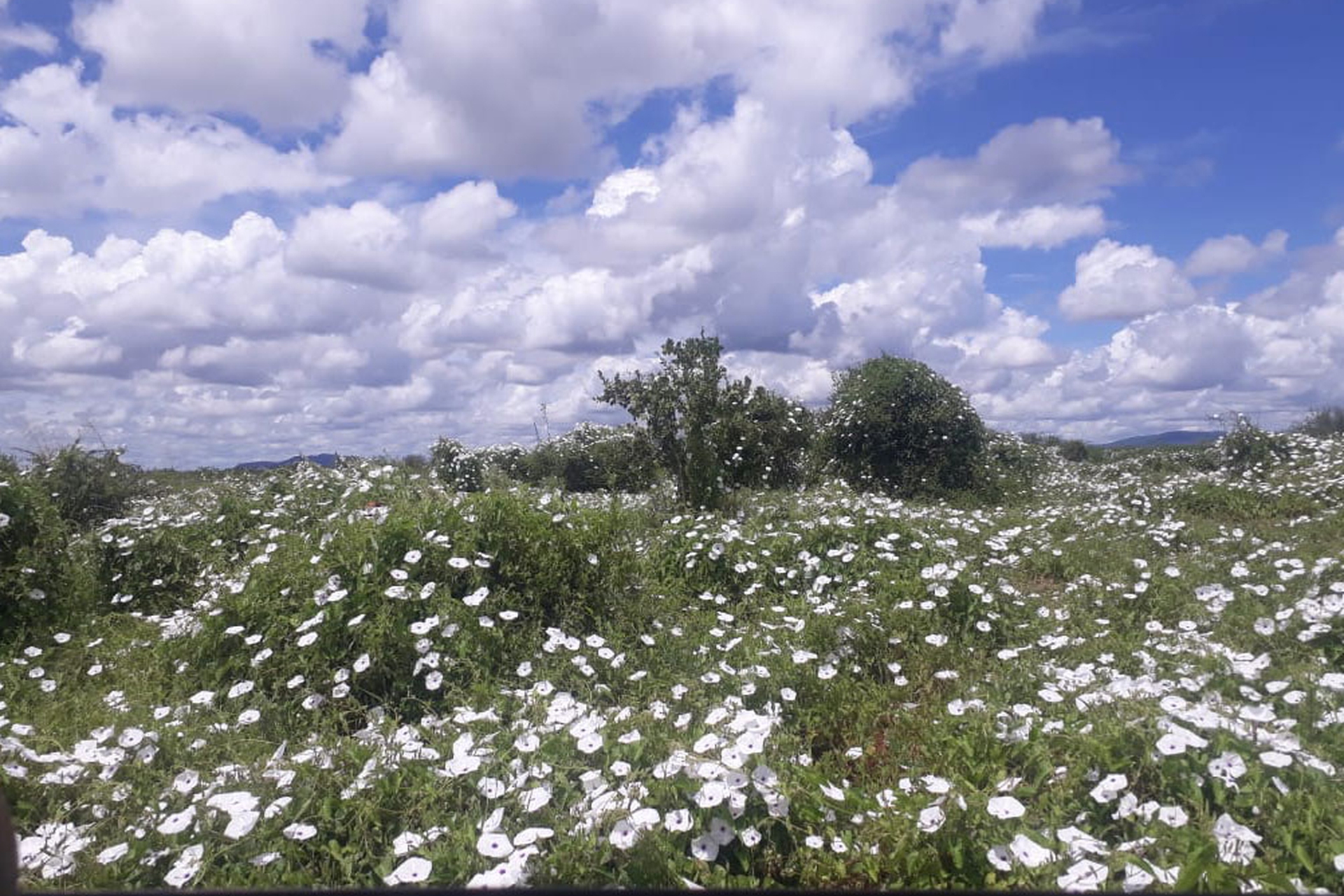 Images of rural Kenya