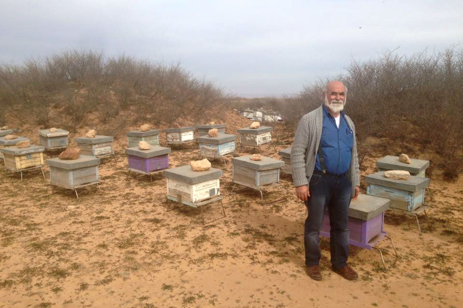 Apicoltura in Algeria