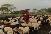 Edward Loure, Goldman Prize winner and defender of indigenous land rights in Tanzania
