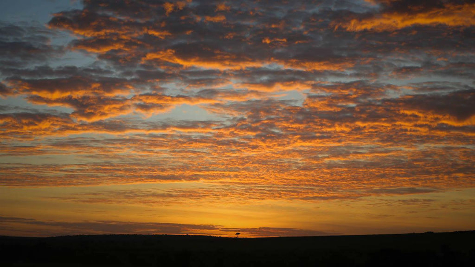 #kenyalive make it kenya