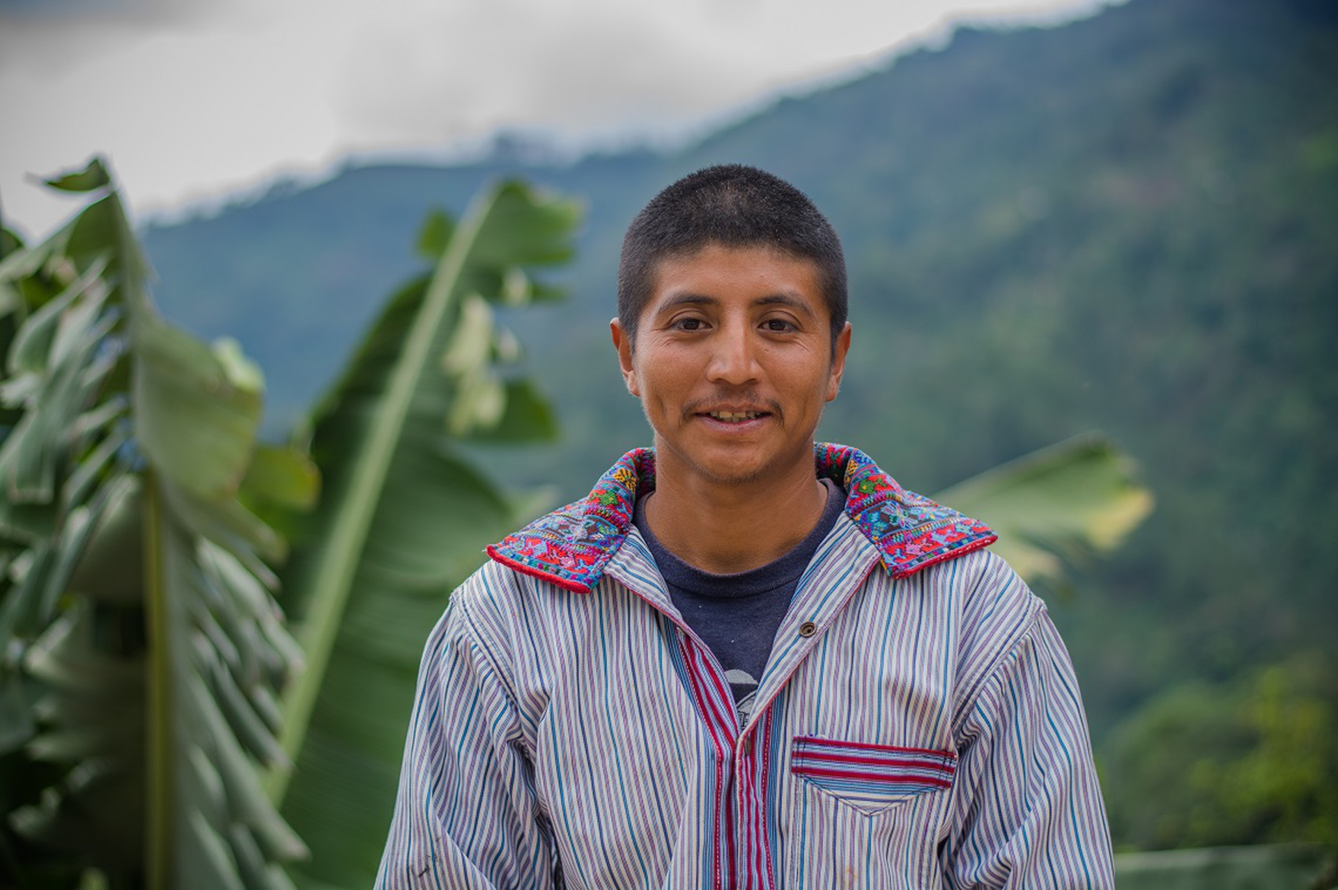 Coltivatore di caffè del Guatemala