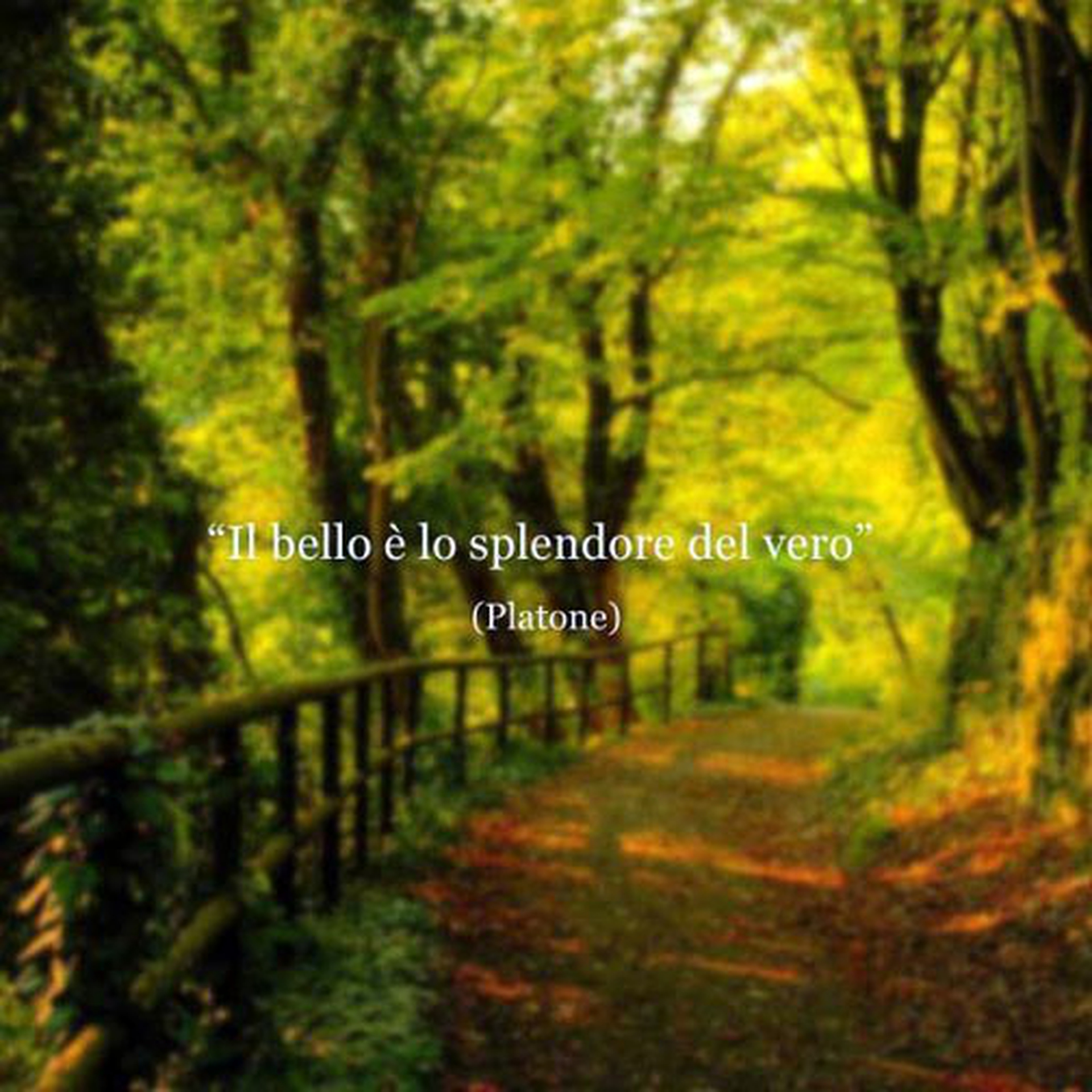 Le citazioni più belle per sempre - Platone