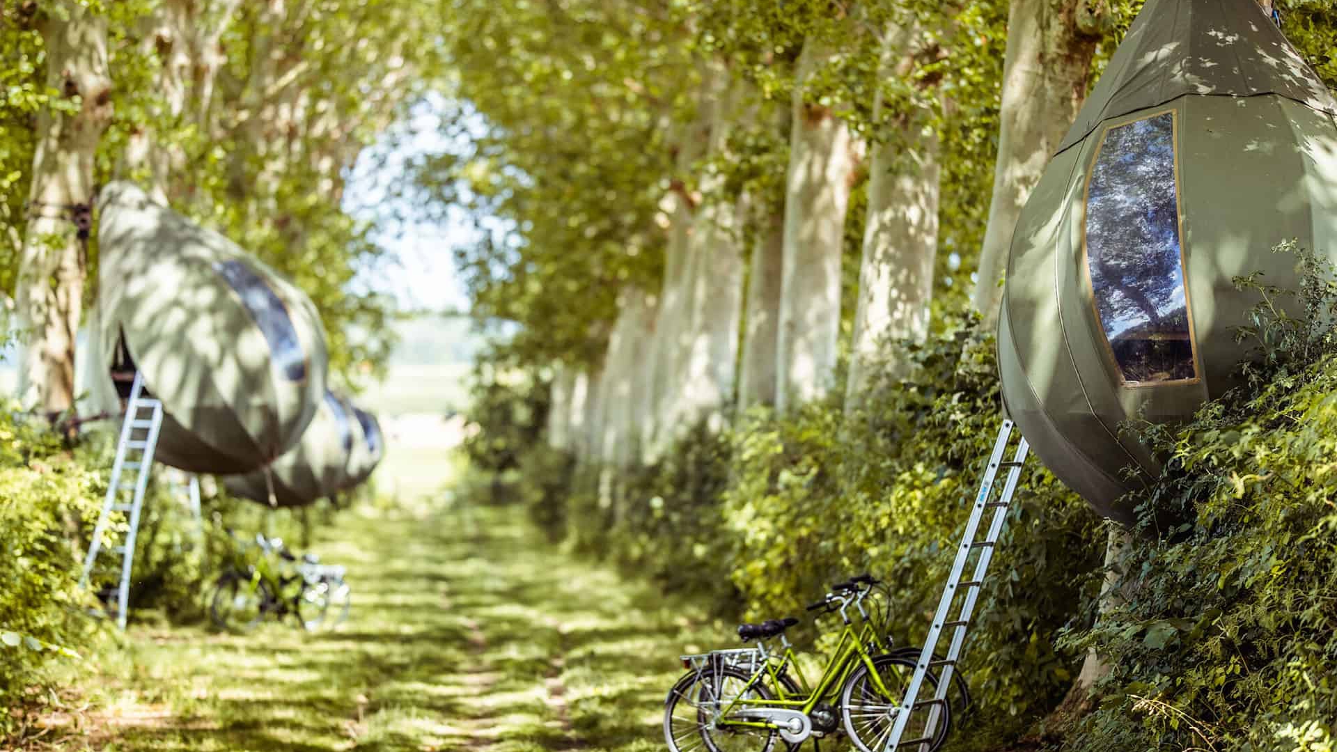 Tranendreef © Visit Limburg - P. Vande Ven copia