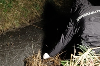 Anche i liquami degli allevamenti contribuiscono all’inquinamento della Pianura Padana