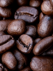 Giornata mondiale del caffè: 5 startup che traggono valore anche da gusci e scarti
