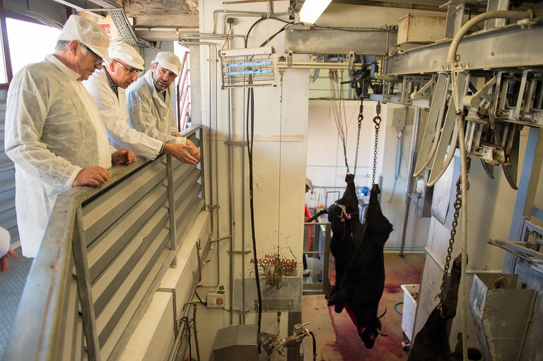 Lavoratori di un mattatoio