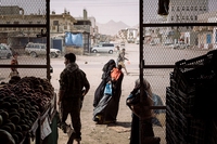 Chi sono i vincitori del premio Pulitzer 2019, a partire da chi ha combattuto per i diritti umani