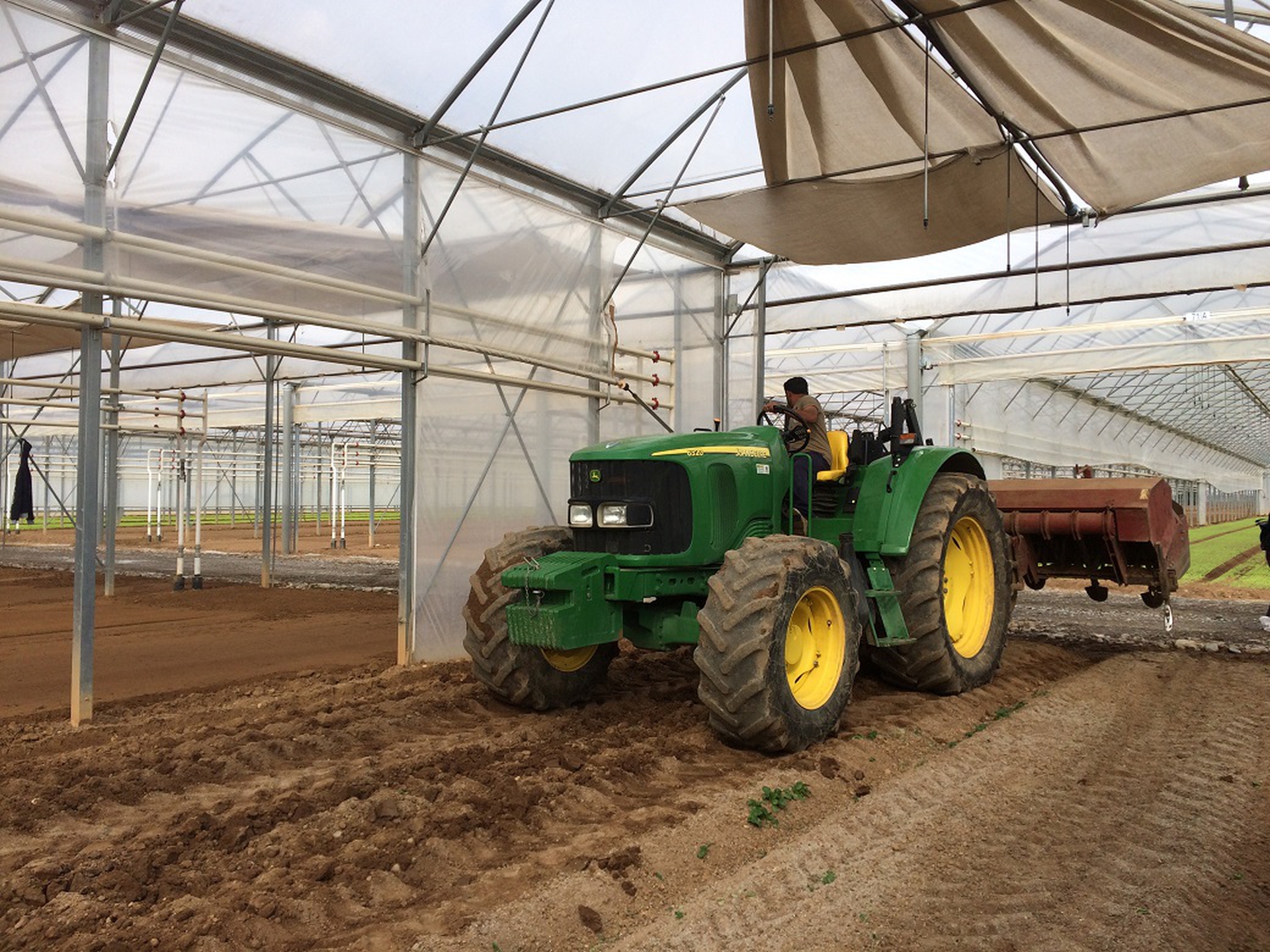 Nelle serre ci sono sensori a pannelli solari che rilevano le temperature