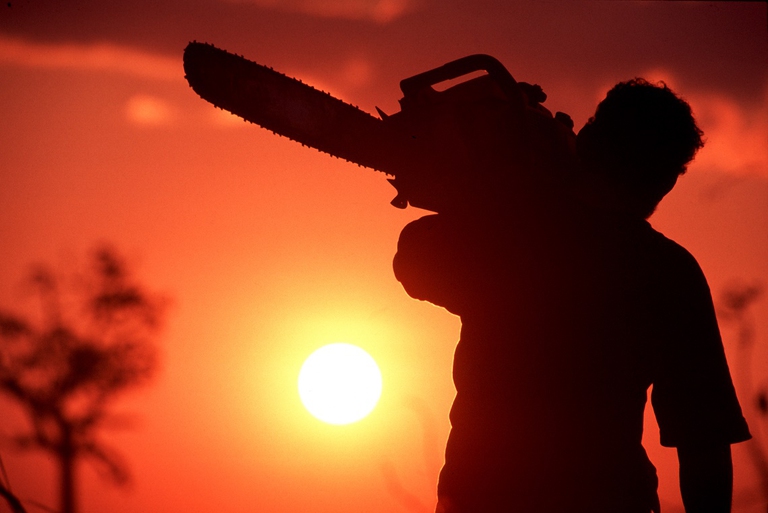 Taglialegna in Brasile