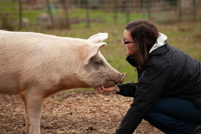 Catskill animal sanctuary