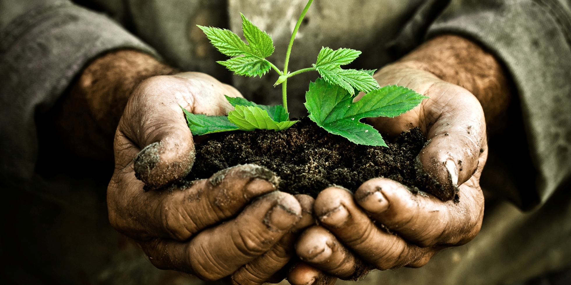 Finalmente puoi fare qualcosa per salvare il suolo, basta una firma