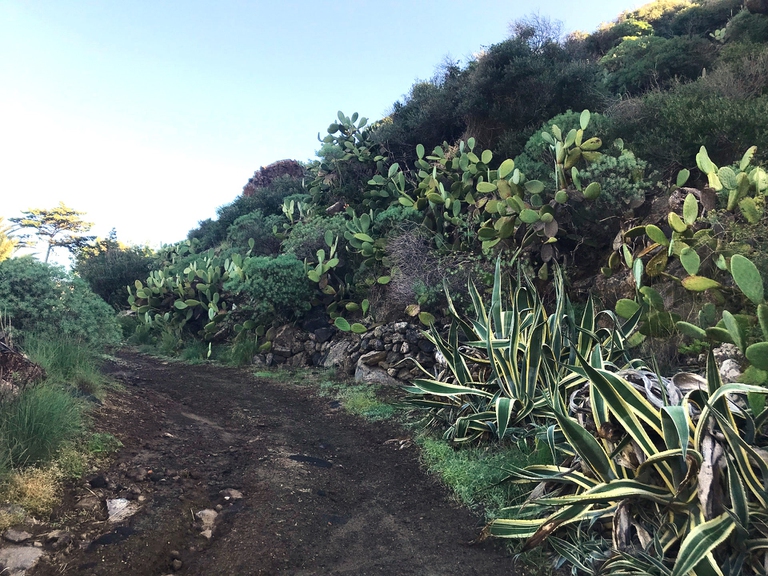 isola di pantelleria