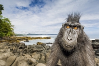 On assignment, una vita selvaggia. Le fotografie di Stefano Unterthiner scattate per National Geographic