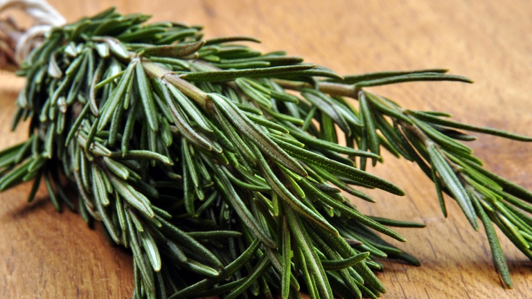 rosmarino