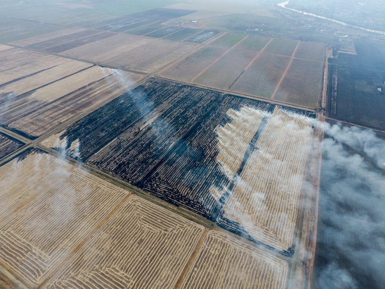 elezioni europee agricoltura