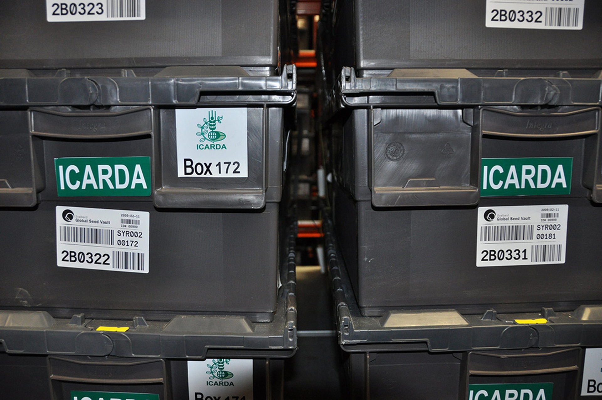 La Siria ha prelevato semi dal deposito per far fronte alla crisi alimentare