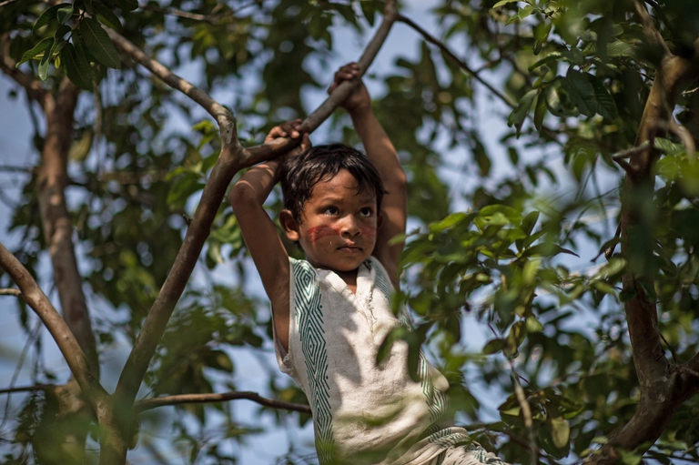 Bambino di una tribù brasiliana