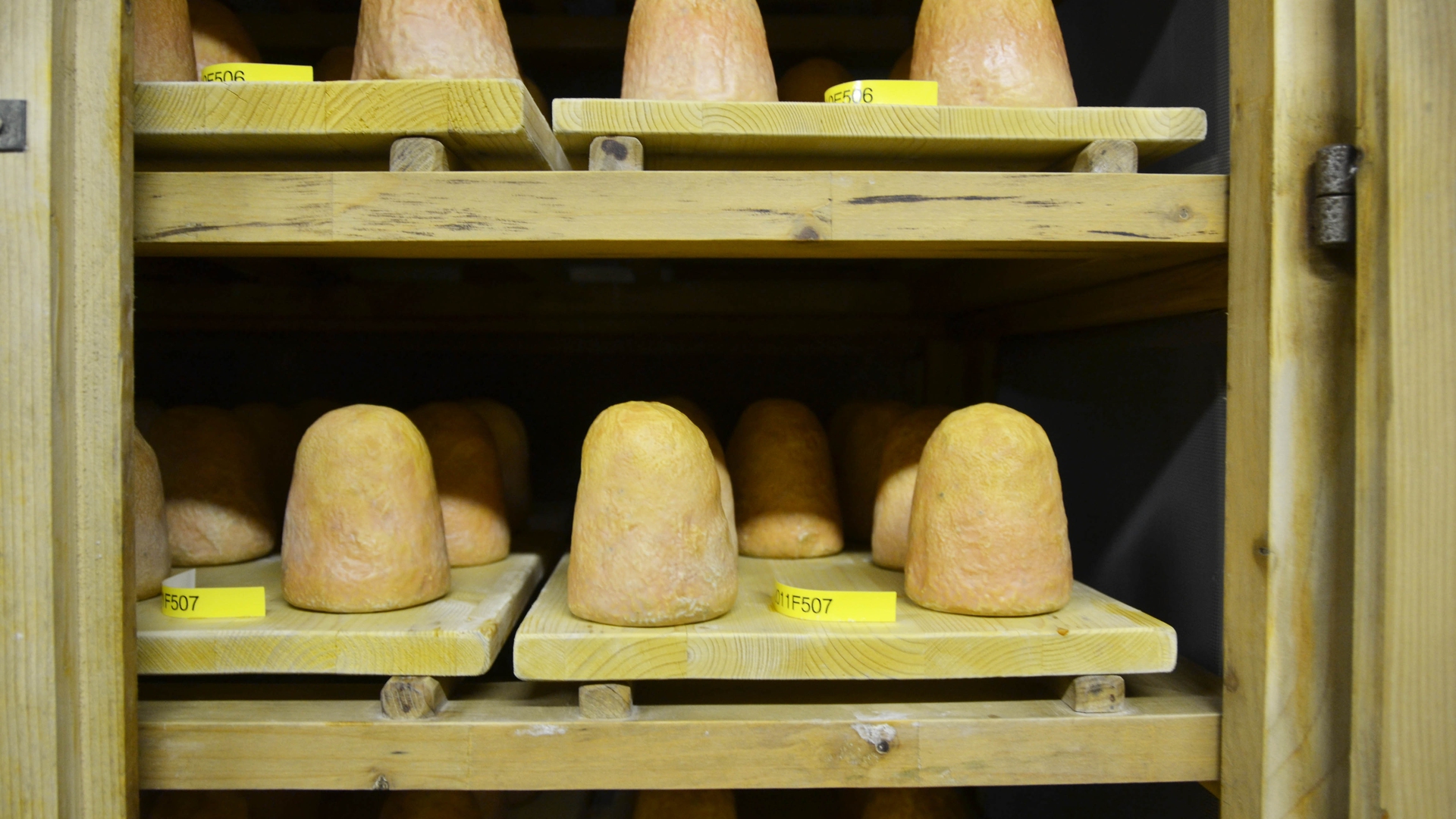 Il formaggio zincarlin