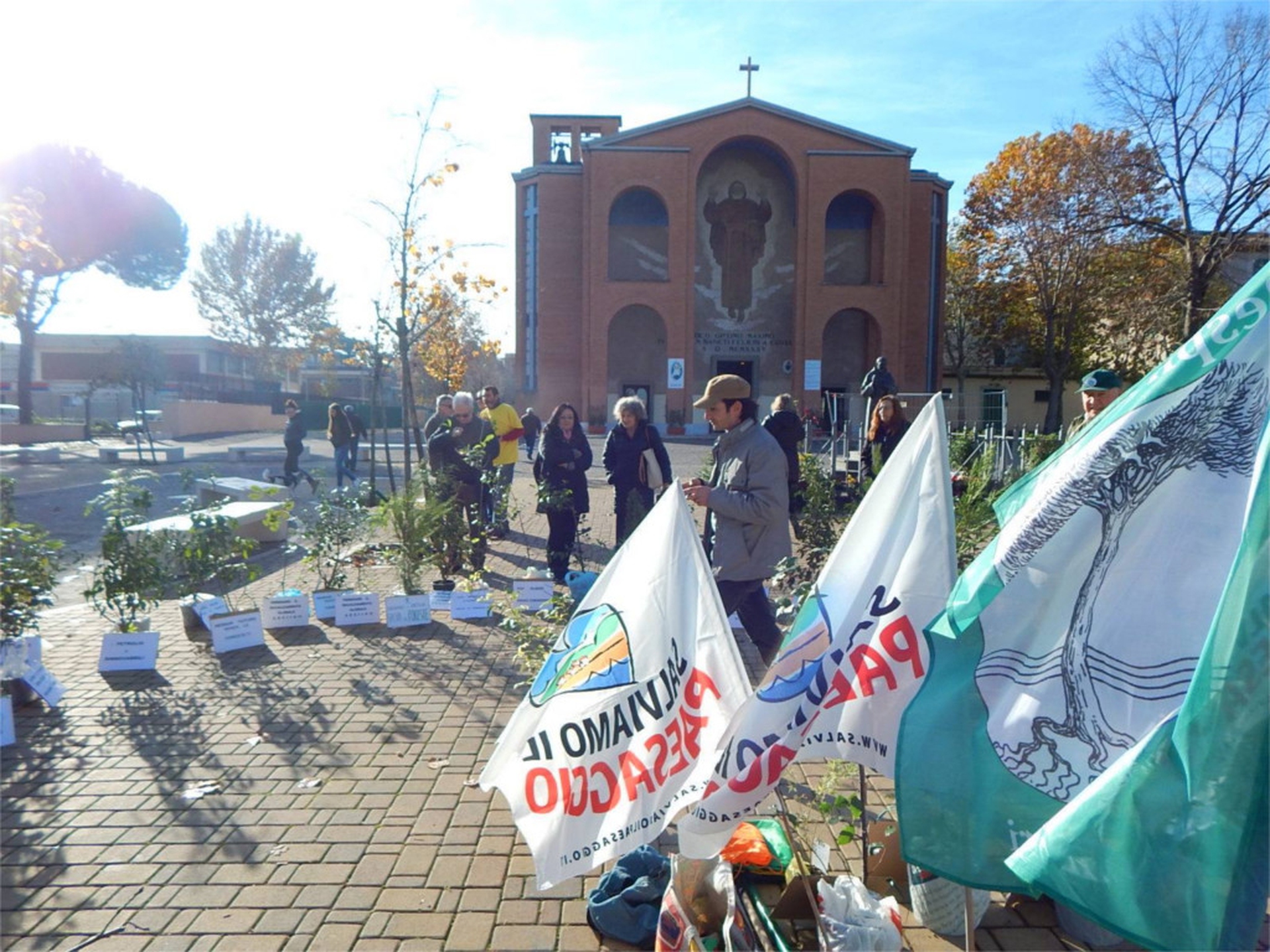 Marcia degli alberi: il luogo di partenza