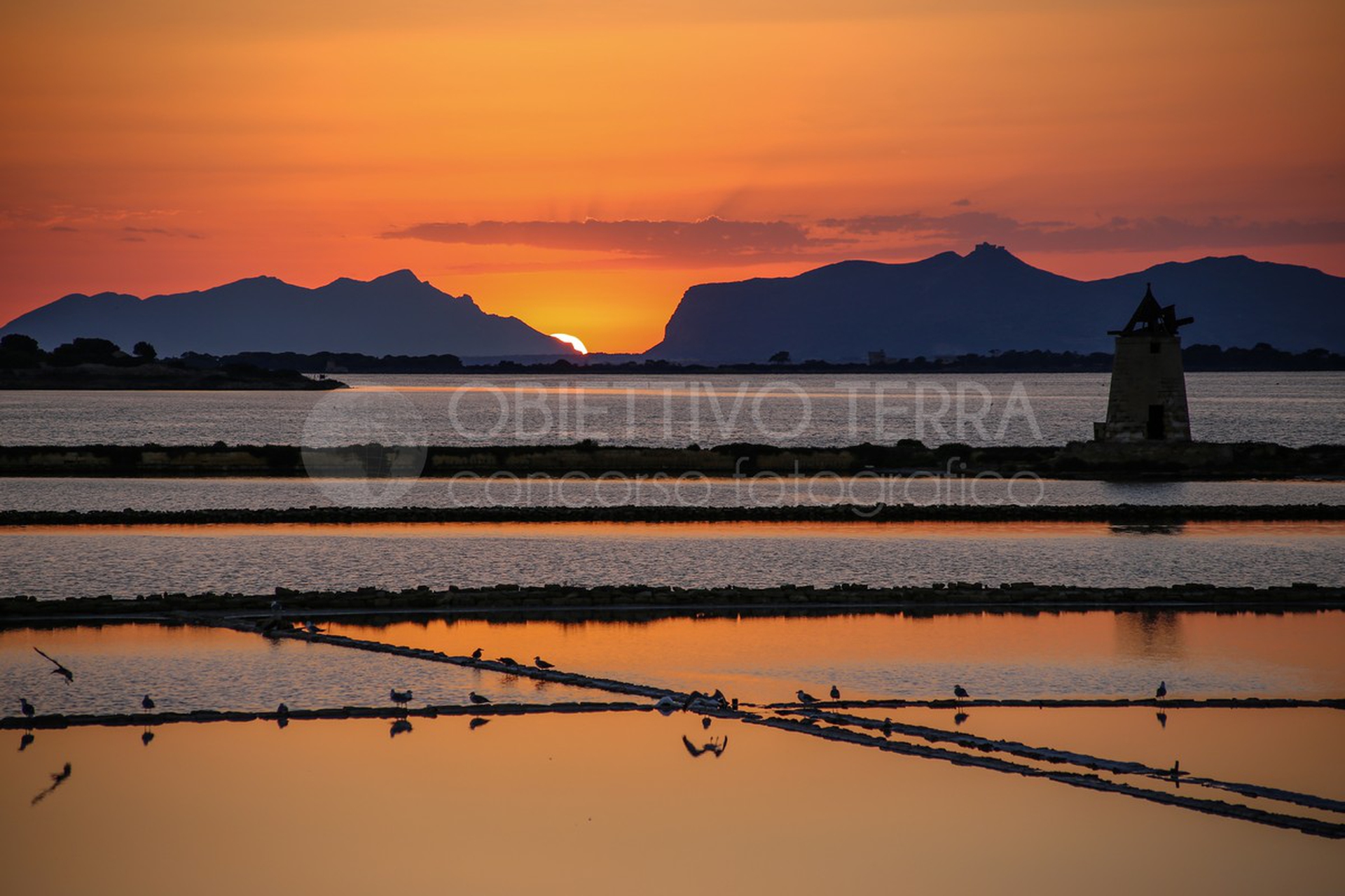 Riserva naturale Isole dello Stagnone di Marsala (Sicilia)