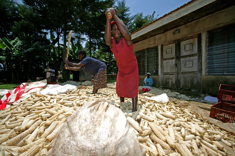 maize kenya women food agriculture