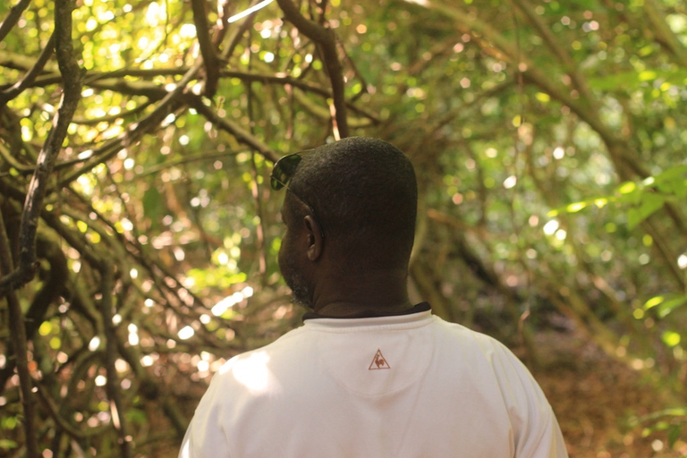 Walking through the forest with Abusuleiman; a community guide © Sarine Arslanian