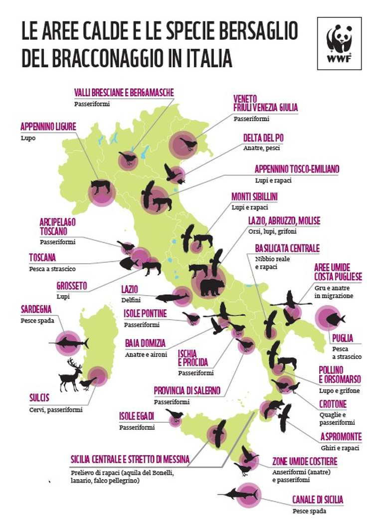 braconaggio