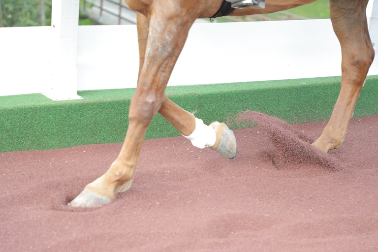 Polverino di gomma per l'ippica