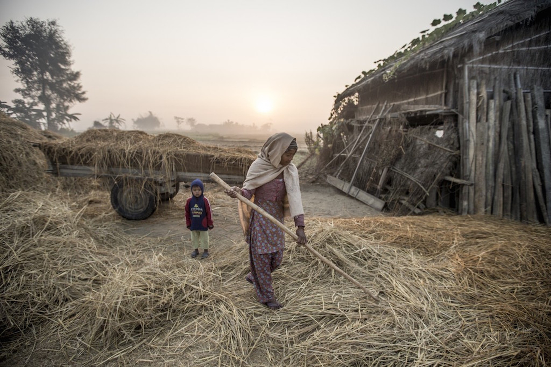 nepal-terai-arc-fieno-bardia-james-morgan-wwf-usa