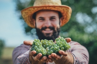 Il 23 settembre si celebra la Giornata europea della produzione biologica